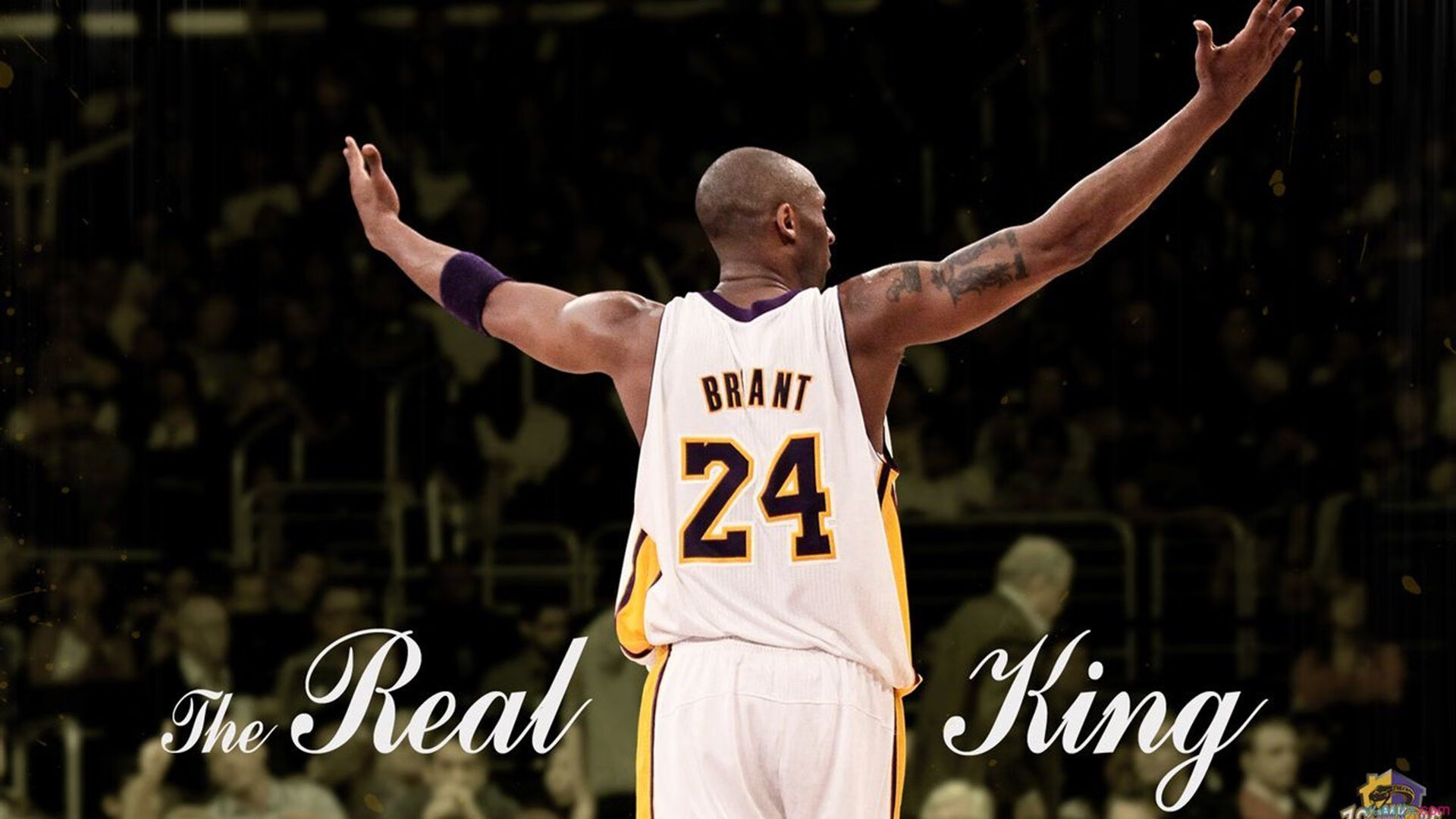 美洲杯天王闪耀：个人能力与团队协作的巅峰展现，美洲杯之王